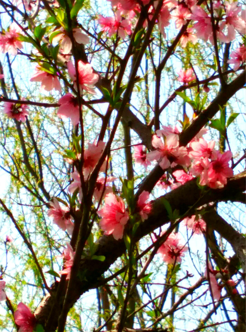 QQͼƬ20160329080851_meitu_2_meitu_4.jpg