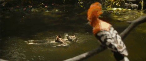 8.gif