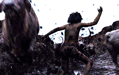 19.gif