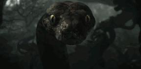 16.gif