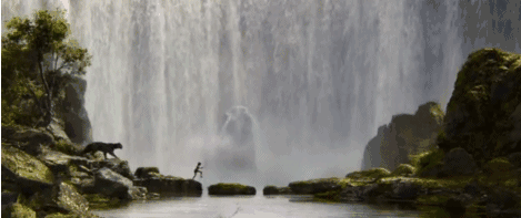 26.gif