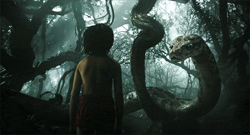 20.gif