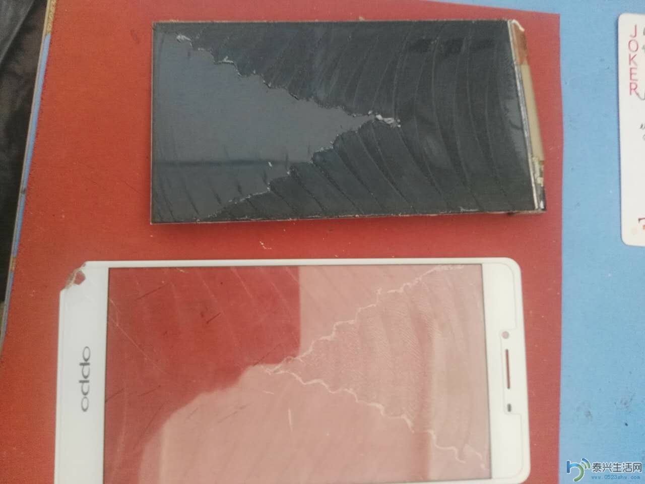 587945556424669540.jpg