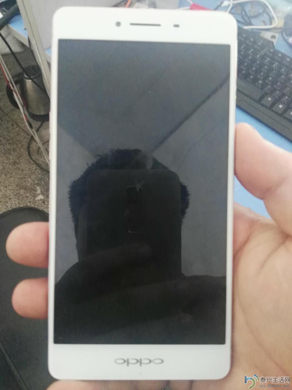 214782978591516770.jpg