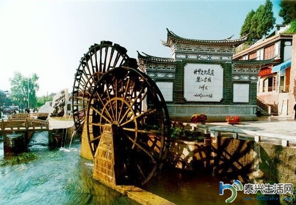 dd920372bd1f492dbb0ca221af62e3e7_th.jpg