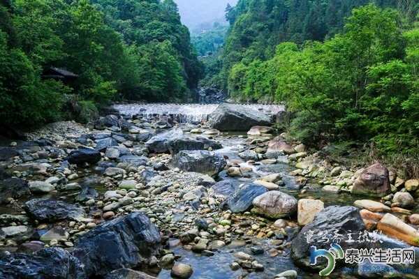 dcff10fcb2a744ed878ff265e8cc3707_th.jpg