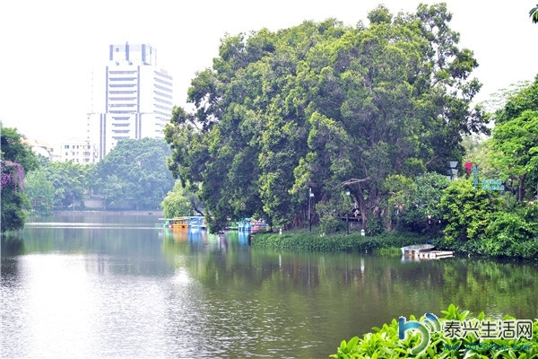355deacdf61a4cad9d2150f1ff50920f_th.jpg