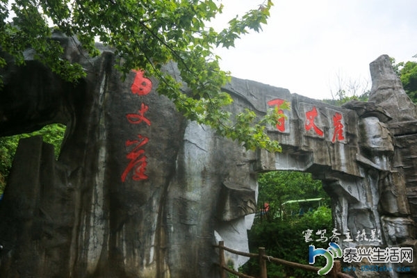 ec6c6dadc8ff423aa277c683416ee0c8_th.jpg