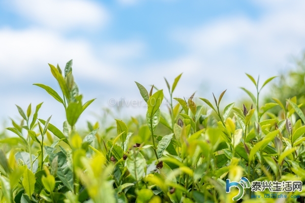 bee99ffecfc54bf2bd30b66d76c99409_th.jpg