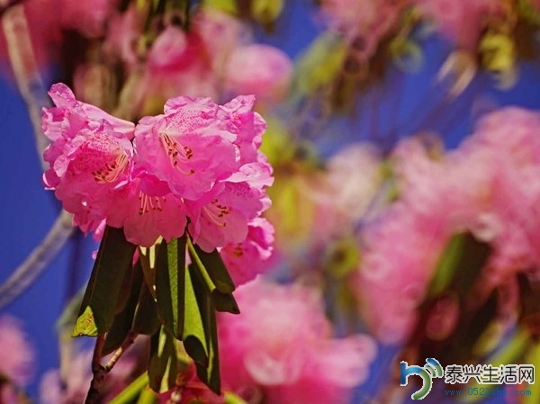 19a12bebca364a3db003c972e731b3f8_th.JPG