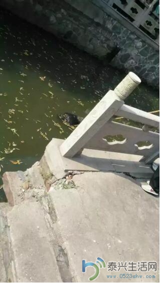 QQ截图20160726100457.jpg