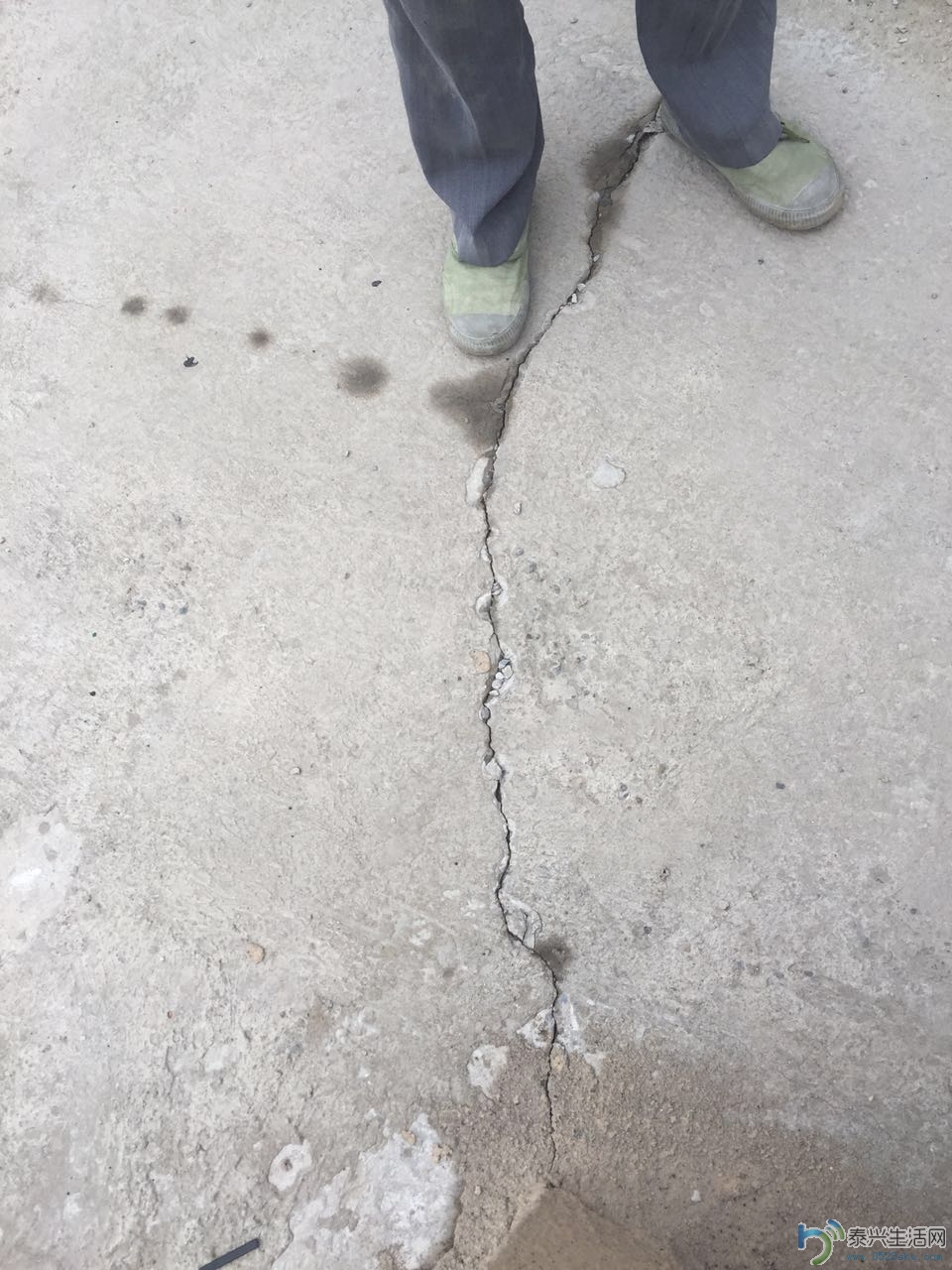 356661324097773015.jpg