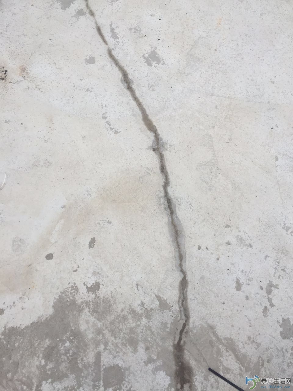 791065370582116870.jpg
