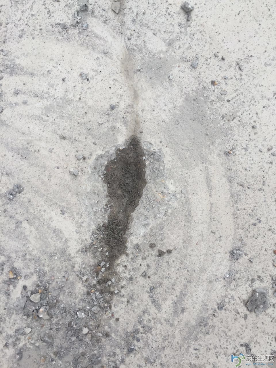 638009158095840587.jpg