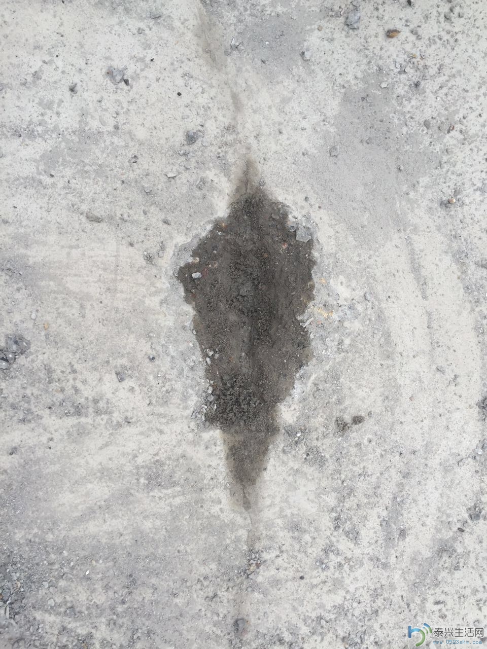 819209377873357020.jpg