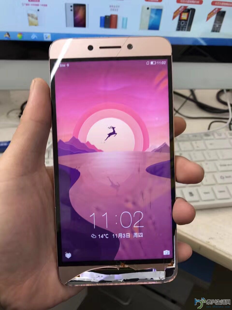 122412973734817017.jpg
