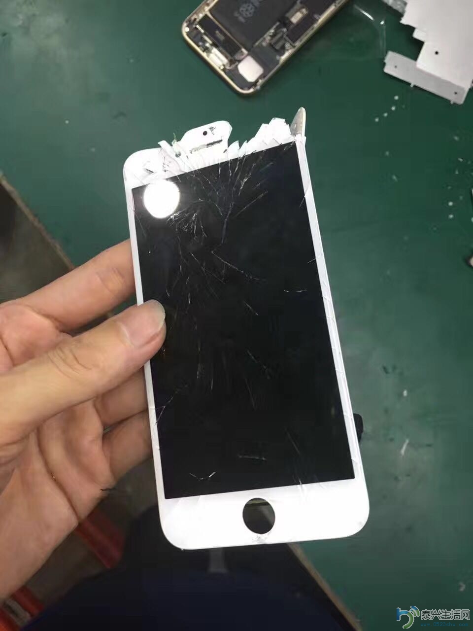 574774928358762881.jpg