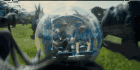 0 (1).gif