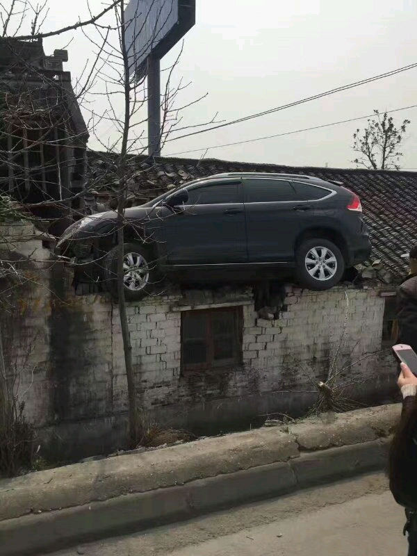 8qfXvx1EuQF1.jpg