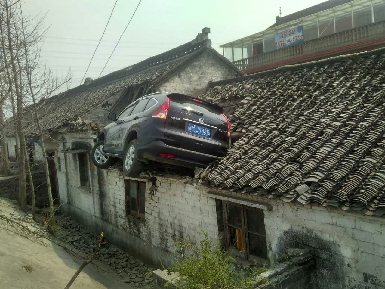 mmexport1489137036446.jpg