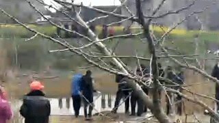 4l1l9e83W3E0.jpg