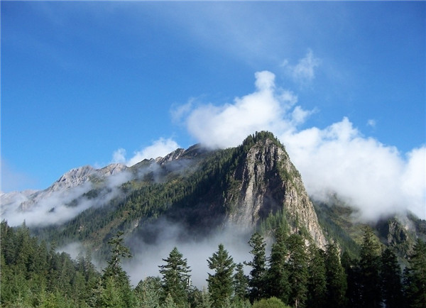 21432M416-23.jpg