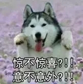 640.webp (12).jpg