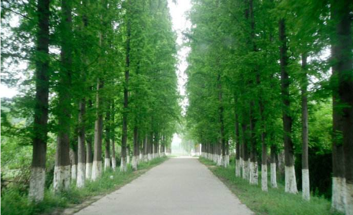 19448256_1200x1000_0.png