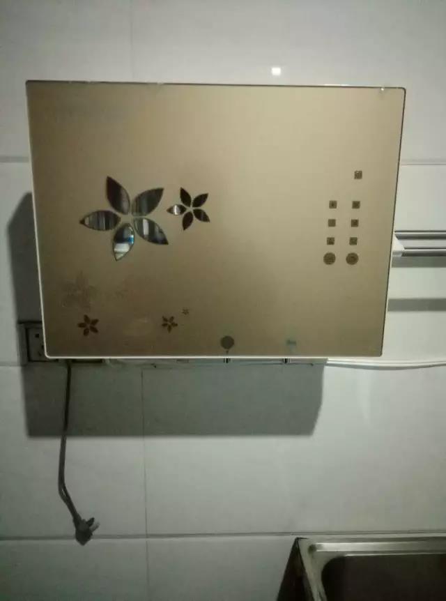 3298745.jpg
