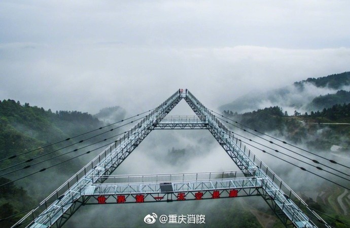 t01e86c99ca3487455c.jpg