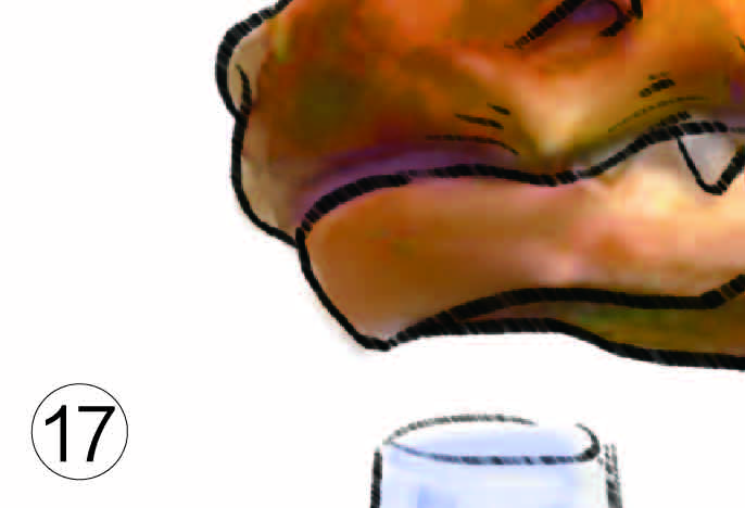 ƴͼ-17.jpg