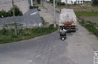 4.gif