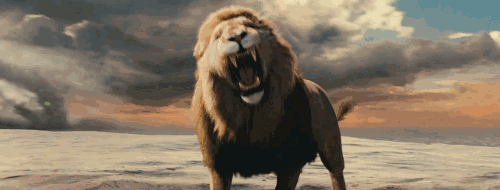 1.gif