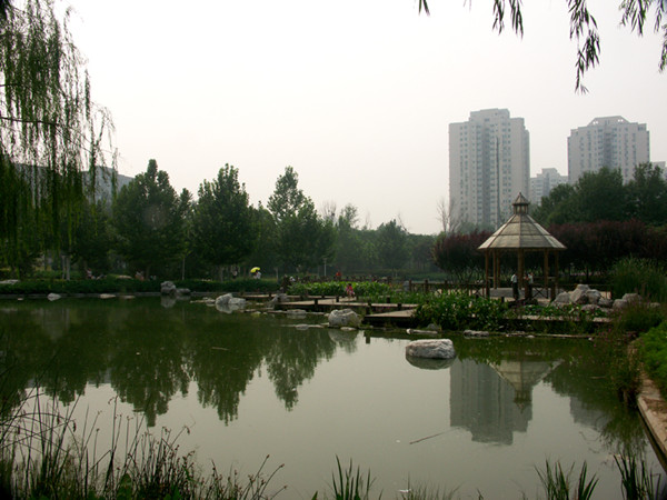 d4a34d9a73cb40ba89bb7c7c0414e3ad_th.jpg