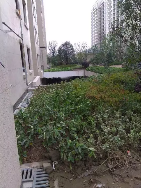 ΢Žͼ_20170715085138.png