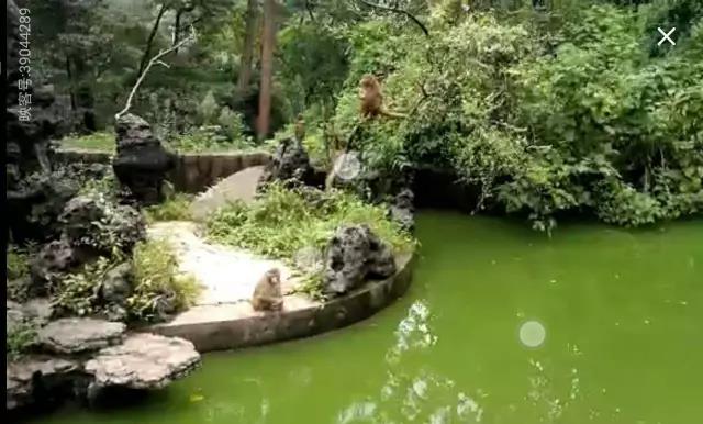 ΢ͼƬ_20170814083232.jpg