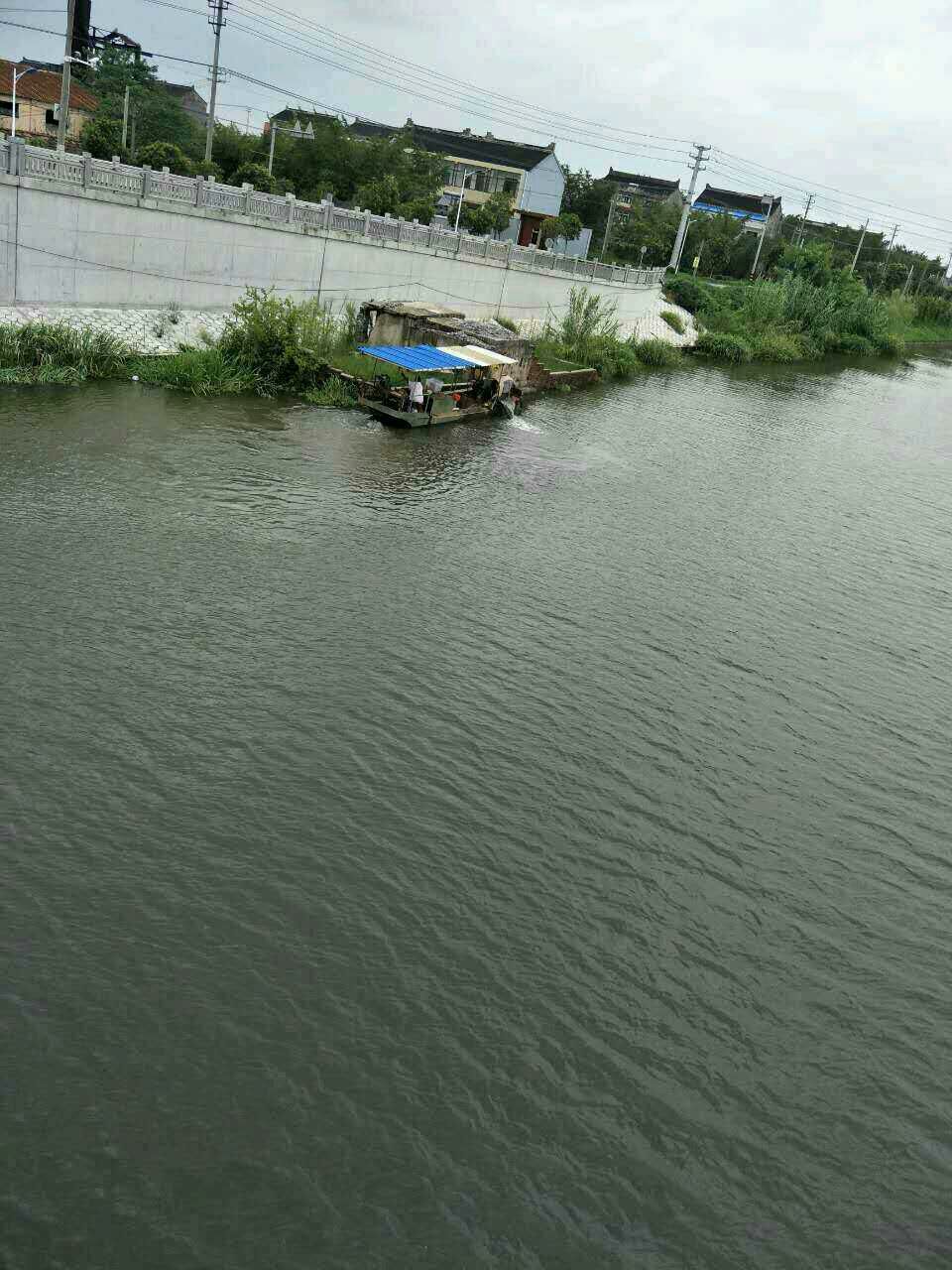WAkwojL9LN6v.jpg