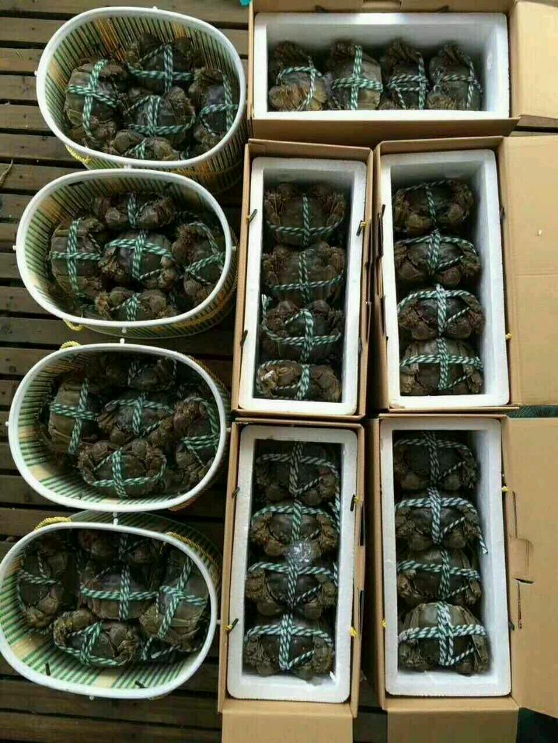 mmexport1506064903772.jpeg