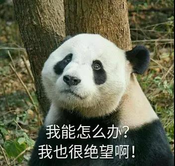 ΢ͼƬ_20170925091839.jpg