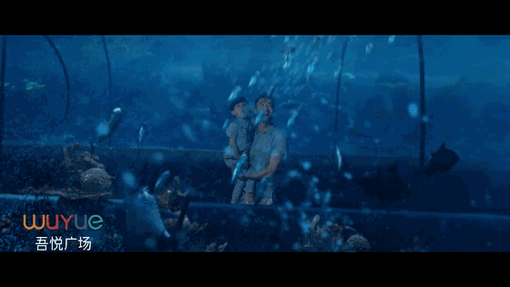 0 (8).gif