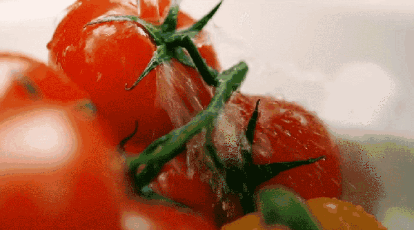640 (1).gif