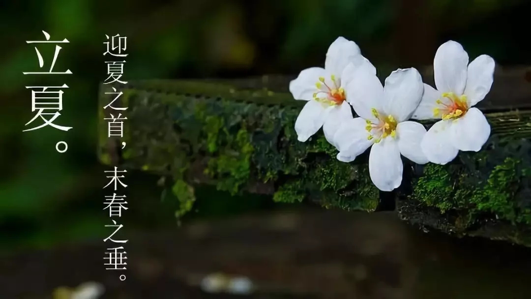 640.webp (10).jpg