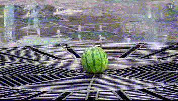 640 (1).gif