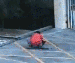 640 (7).gif