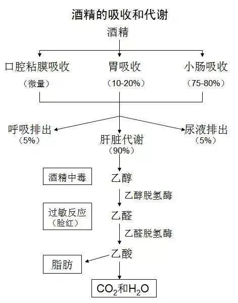 640.webp (1).jpg