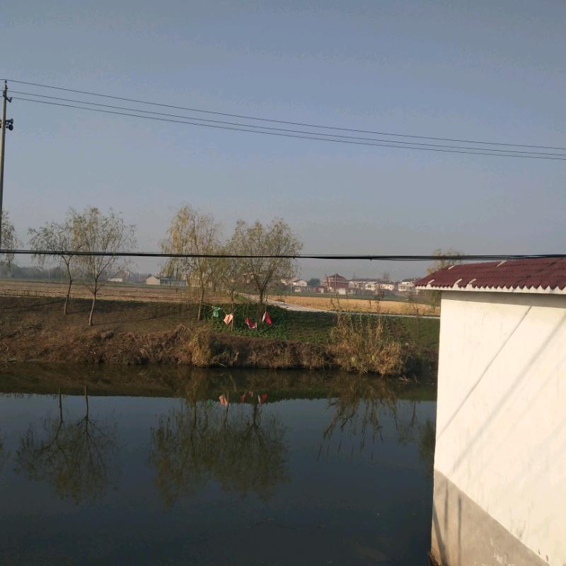IMG_20181213_090444.jpeg
