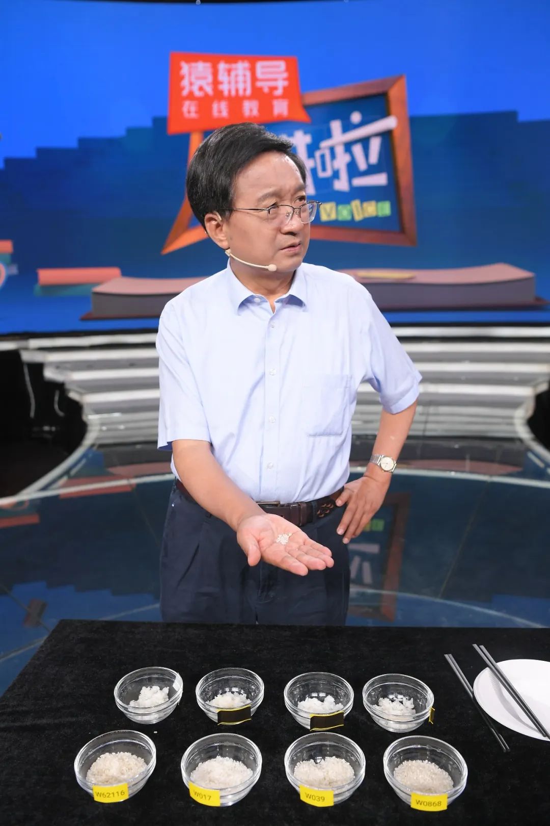 w13.jpg