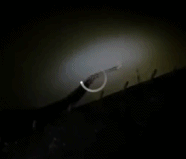 w3.jpg