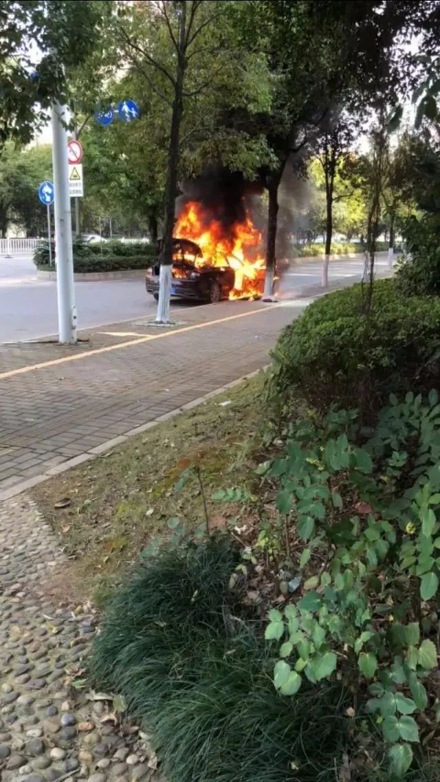 w24.jpg