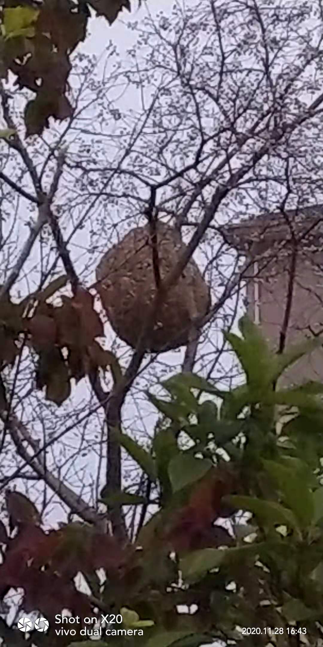 ̩_20201129_230736.jpg